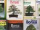 bonsai buch empfehlungen ratgeber